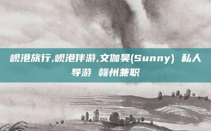 重庆岘港旅行,岘港伴游,文伽昊(Sunny) 私人导游 赣州兼职